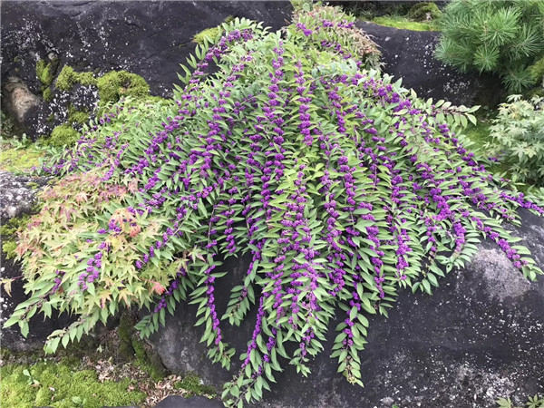 �Ř���ľ�b����(bi��o)��(zh��n)��ԇ�У�