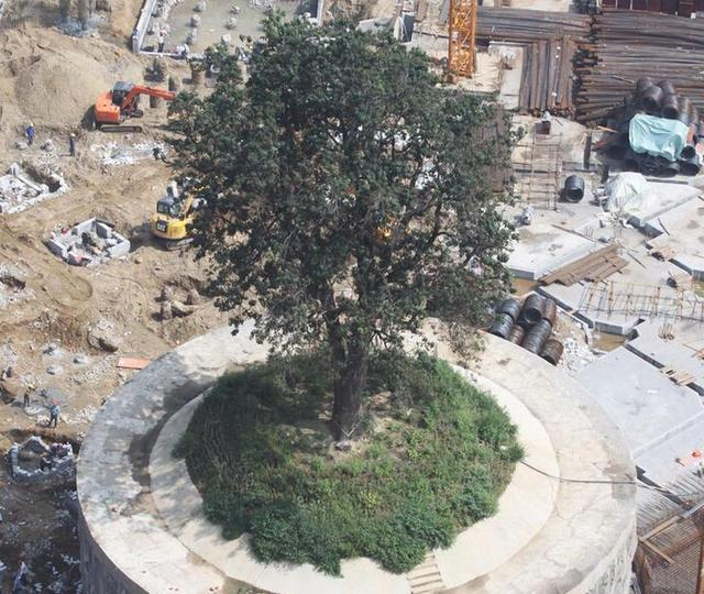 �ǰ˅^�Ř���ľ4�f���걱��λ��ȫ����һ