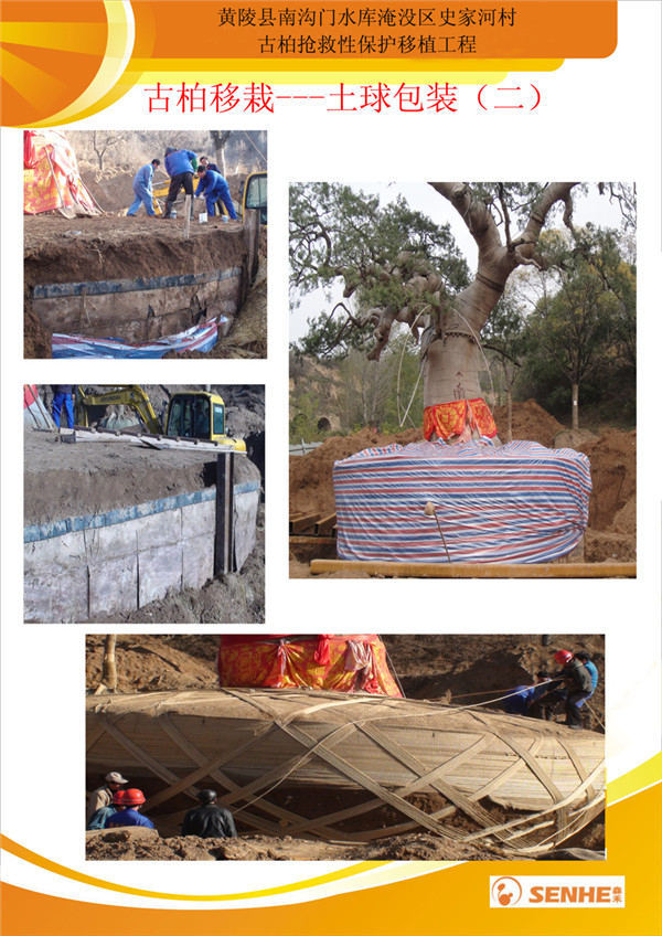 ��۰ر��o���Թ��̌��}������