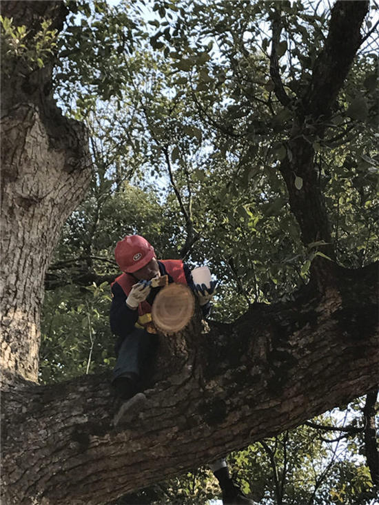 �������̎��