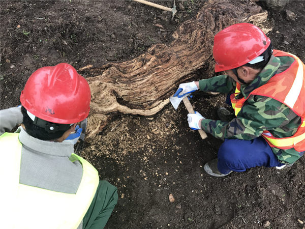 �帯������������̎��